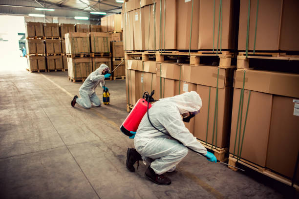 Best Flea Control Services  in Petersburg, WV