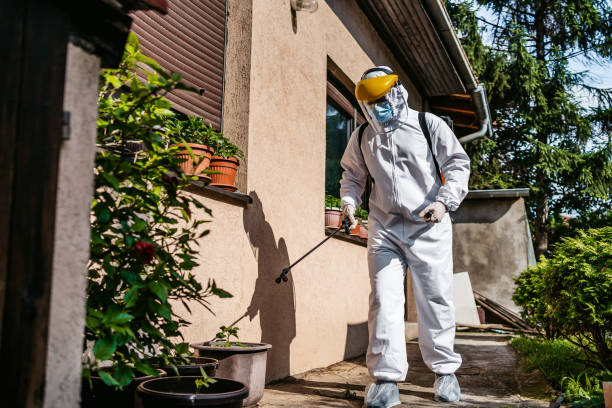 Best Affordable Exterminators  in Petersburg, WV