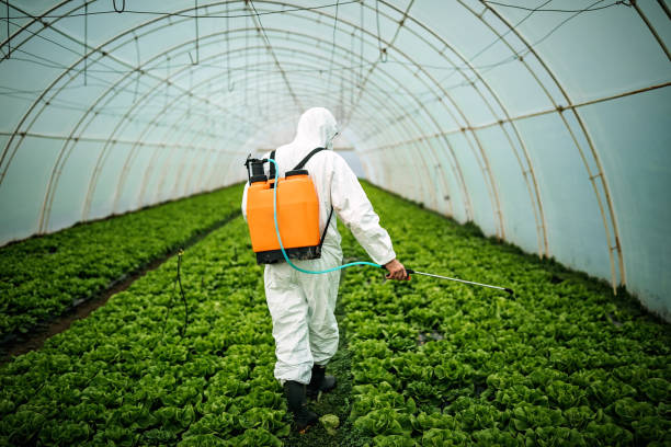 Best Mosquito Control Services  in Petersburg, WV