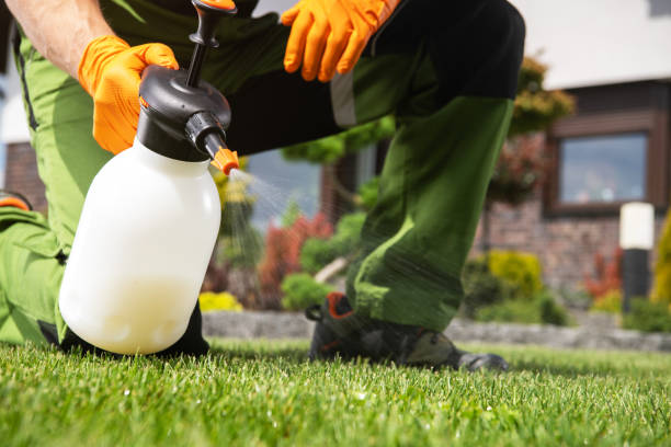 Best Best Pest Control Companies  in Petersburg, WV