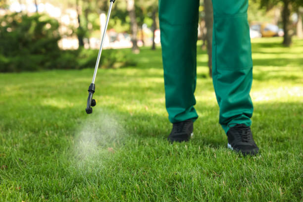 Best Exterminator Services  in Petersburg, WV