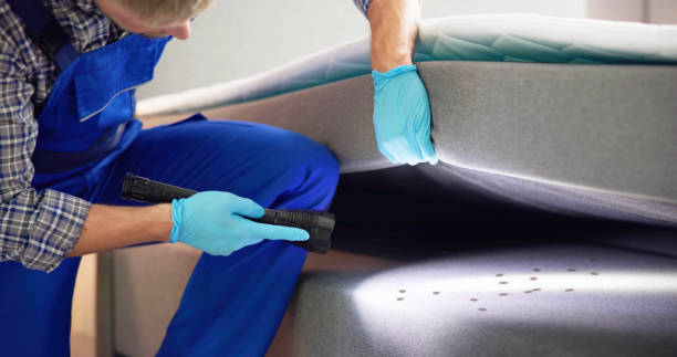 Best Commercial Pest Control Services  in Petersburg, WV