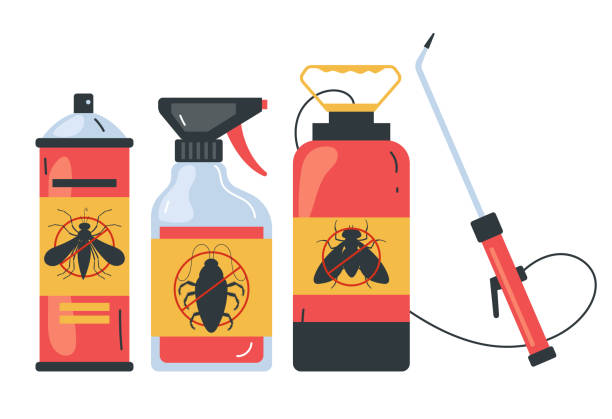 Best Local Pest Control Services  in Petersburg, WV