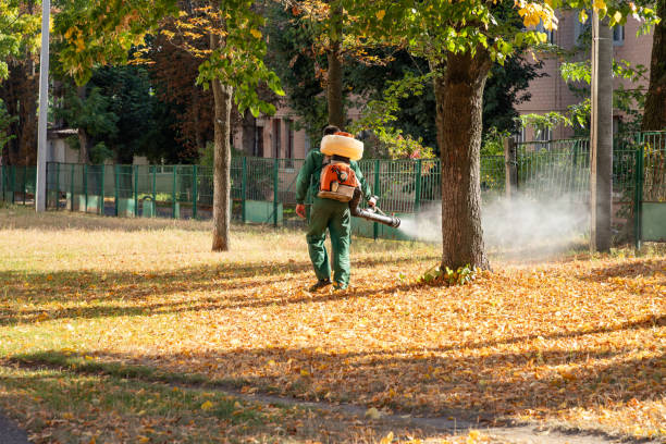 Best Rat Extermination Near Me  in Petersburg, WV